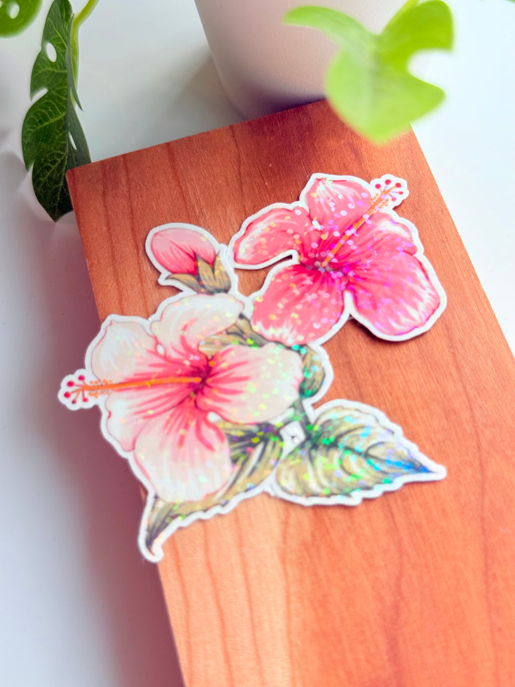 Pink & White Hibiscus