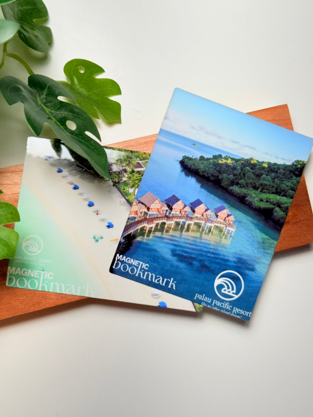 Custom Backing Cards